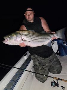 Striped bass caught while fishing in CT