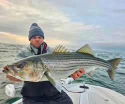 Striped bass being caught while fishing in CT