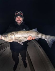 Striped bass fishing in Connecticut