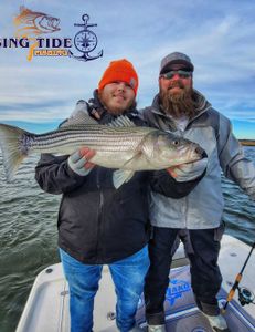 Striped bass fishing in Milford