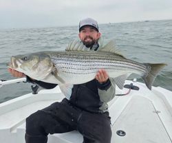 A striped bass caught fishing in Milford