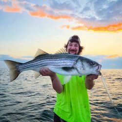 Striped bass caught by two people fishing in Milford