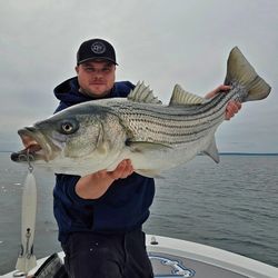 Striped bass caught in Milford while fishing