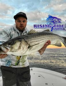 Striped bass caught in Milford