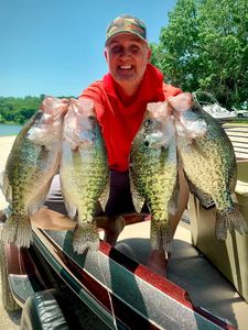 Impressive crappie catch on a sunny day.