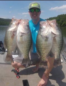 Image of 4 white crappie and largemouth bass caught in AR
