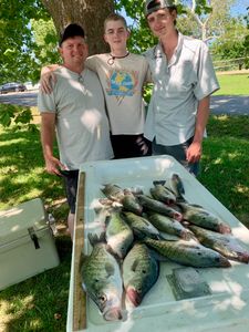 Two white crappie fish caught in AR