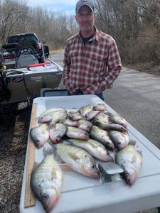 3 bluegill fish caught while fishing in Rogers
