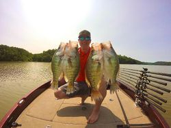 3 big fish caught while fishing in Rogers
