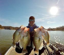 Successful crappie fishing trip with 4 big crappie fish caught in Rogers, Arkansas