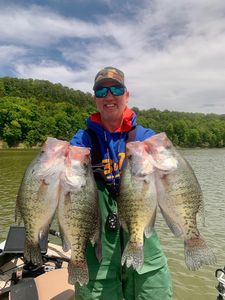 Four white crappie fish caught while fishing in AR