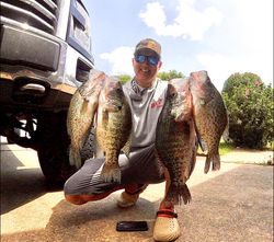 Four fish caught in Rogers