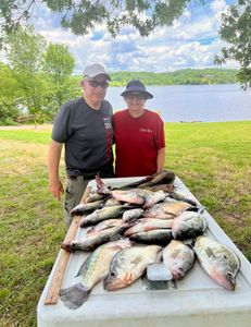 5 fishing rod catches in AR