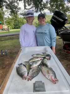 Five crappie fish caught in Rogers, Arkansas