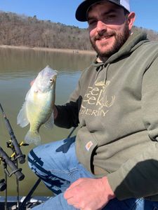 Lone angler fishing in Rogers