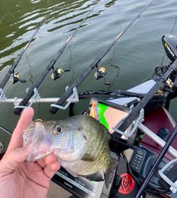 One fish caught in AR while fishing