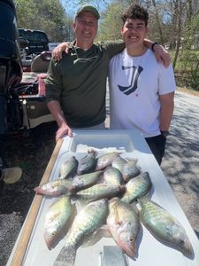 3 atlantic croaker fish caught in AR