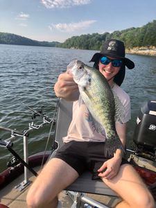 Photograph of a white crappie fish caught in Rogers