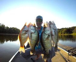 4 white crappie fish caught in AR