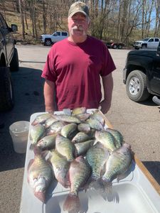White crappie fish caught in Rogers