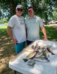 White crappie fish caught in Rogers, Arkansas