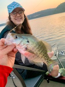 A person fishing for a white crappie in AR