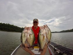 Four white crappie fish caught in AR