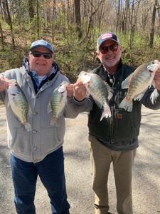 4 white crappie fish caught in Rogers