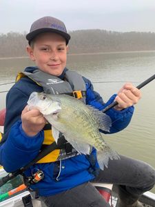 White crappie fish caught while fishing in Rogers