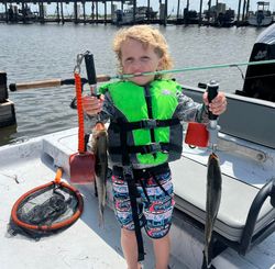 Fishing catch display on boat deck in Corpus Christi TX showing two fish species