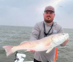 Redfish caught while fishing in Corpus Christi TX