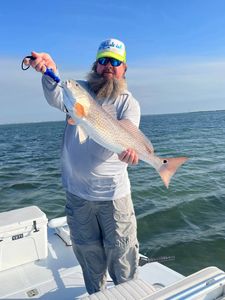 Redfish caught while fishing in Corpus Christi TX waters