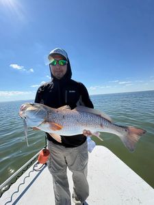 Large redfish caught while fishing in Corpus Christi TX waters