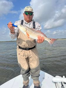 Redfish caught while fishing in Corpus Christi TX waters