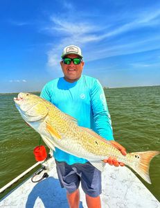 Large redfish caught while fishing in Corpus Christi TX waters