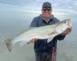 Large speckled trout caught while fishing in Corpus Christi TX waters