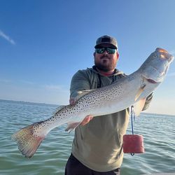 Speckled trout fishing catch in Corpus Christi TX waters