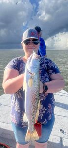 Speckled trout catch displayed on fishing boat in Corpus Christi TX waters