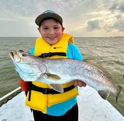 Speckled trout catch displayed on boat in Corpus Christi TX fishing trip