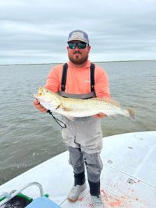 Speckled trout catch from Corpus Christi TX fishing trip