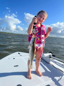 Speckled trout catch displayed on boat deck in Corpus Christi TX waters