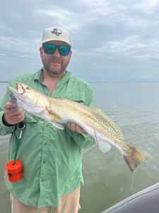 Speckled trout caught while fishing in Corpus Christi TX waters