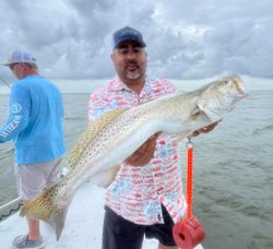 Speckled trout fishing catch held on boat in Corpus Christi TX waters