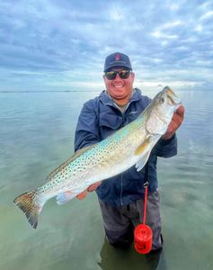 Speckled trout catch in Corpus Christi TX shallow waters