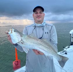 Speckled trout catch on fishing boat in Corpus Christi TX waters
