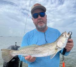 Speckled trout catch from Corpus Christi TX fishing trip