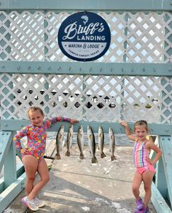 Six speckled trout displayed on fish cleaning station at Bluff's Landing Marina in Corpus Christi TX