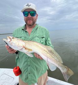 Speckled trout catch from Corpus Christi TX fishing trip