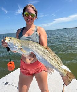 Speckled trout caught fishing in Corpus Christi TX waters