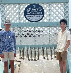 Ten speckled trout displayed on cleaning station at Bluff's Landing Marina in Corpus Christi Texas